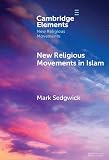 New Religious Movements in Islam (Elements in New Religious Movements)
