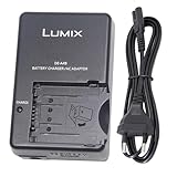 DE A49 DE A49B DE A49C DMW BLB13 DMW BLB13E DMW BLB13GK DMW BLB13PP Chargeur de Batterie Compatible avec Panasonic Lumix DMC G10 DMC GF1 DMC GH1 DMC G1 DMC G2 Appareil Photo