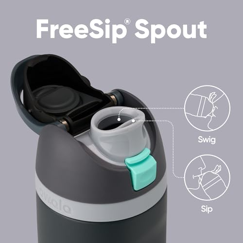 Image of Owala FreeSip Insulated Stainless Steel Water Bottle with Straw for Sports and Travel, BPA-Free, (Foggy Tide)