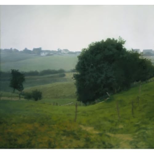Poster Gerhard Richter Meadowland en grand format 101,6 x 127 cm pour déco salon