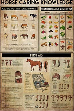 DBKGHIEDHG Letrero de metal retro con texto en inglés "Horse Caring Knowledge", póster de metal para decoración de pared, 20,3 x 30,5 cm, pintura de hierro