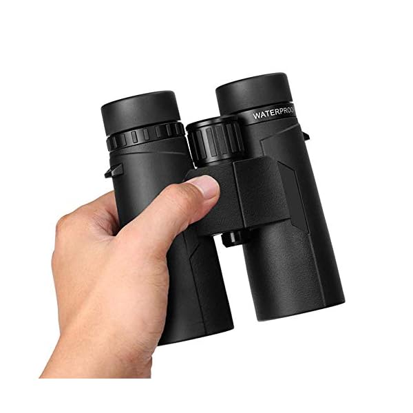 Spielzeug Fernglas Kompaktteleskop Wasserdichtes nebelsicheres Teleskop Professionelle Vogelbeobachtungsferngläser für… – Bild 7