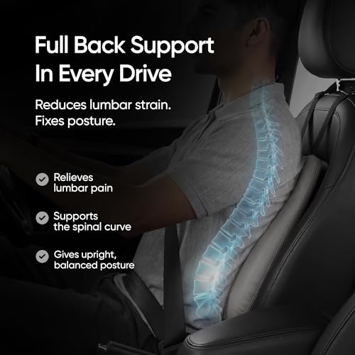Image of Frido Premium Car Back Rest Cushion with Lumbar Support Pillow for Driving, Hi-Per Memory Foam Back Support and Luxe Leatherette Cover, Relieves Back Pain and Improves Posture for Long Drives | Ivory