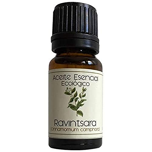 Labiatae Aceite Esen. Ravinsara (Cinnamomum Camphora) 12 Ml 300 g Cover