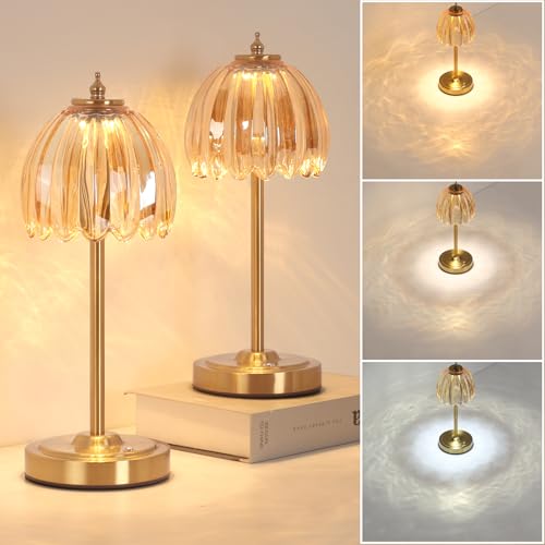 Image of Shenmoyl Set of 2 Tulip Table Lamp with 5000mAh Battery & Touch Control, Cordless Table Lamp with 3 Colors, Dimmable Rechargeable Table Lamps for Bedroom, Living Room, Entryways (Amber Tulip)