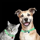 【360 ° El collar fluorescente no necesita rellenar】 Nueva textura de silicona, sin necesidad de recargar el collar. (Los materiales fluorescentes solo emitirán luz en la oscuridad después de absorber la fuente de luz durante el día) Impermeable adecuado para todas las condiciones climáticas, impermeable, ligero y duradero. Se puede utilizar de forma segura bajo la lluvia o nadando.