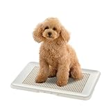 ���|���ȒP�t���b�g�g���[ ���M�����[ [�A�C�{���[]