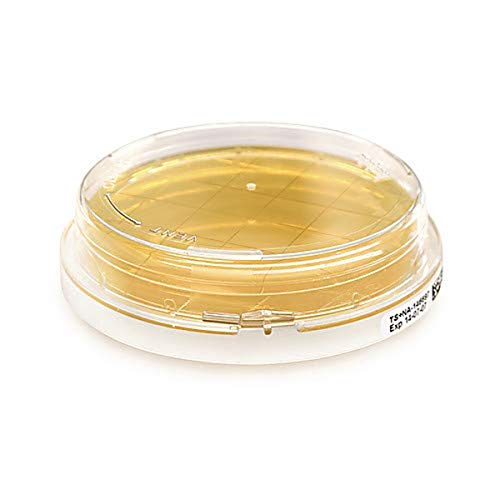 Plaques de contact Millipore Sigma 1465520020 TR. Cont. A. +LT -ICR+ en lot de 20 unités de 55 mm