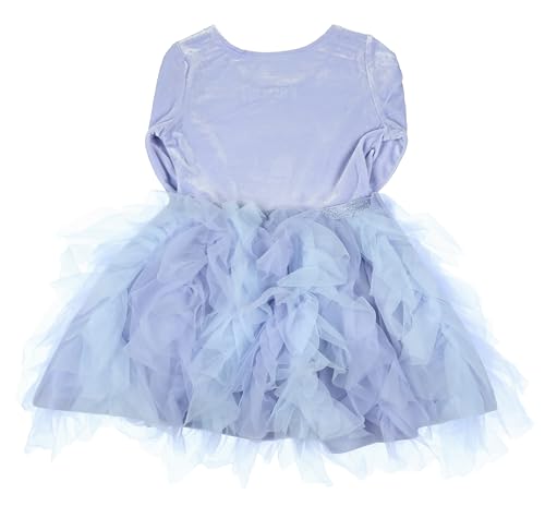 Disney Frozen Toddler Girls' Elsa The Snow Queen Velvet Tiered Tulle Tutu Dress (4T)4