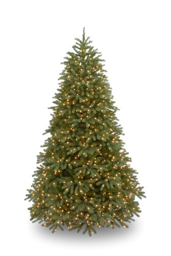 National Tree Company 'Feel Real' Pre-lit Artificial Christmas Tree | Includes Pre-strung White Lights and Stand | Jersey Frasier Fir - 9 ft
