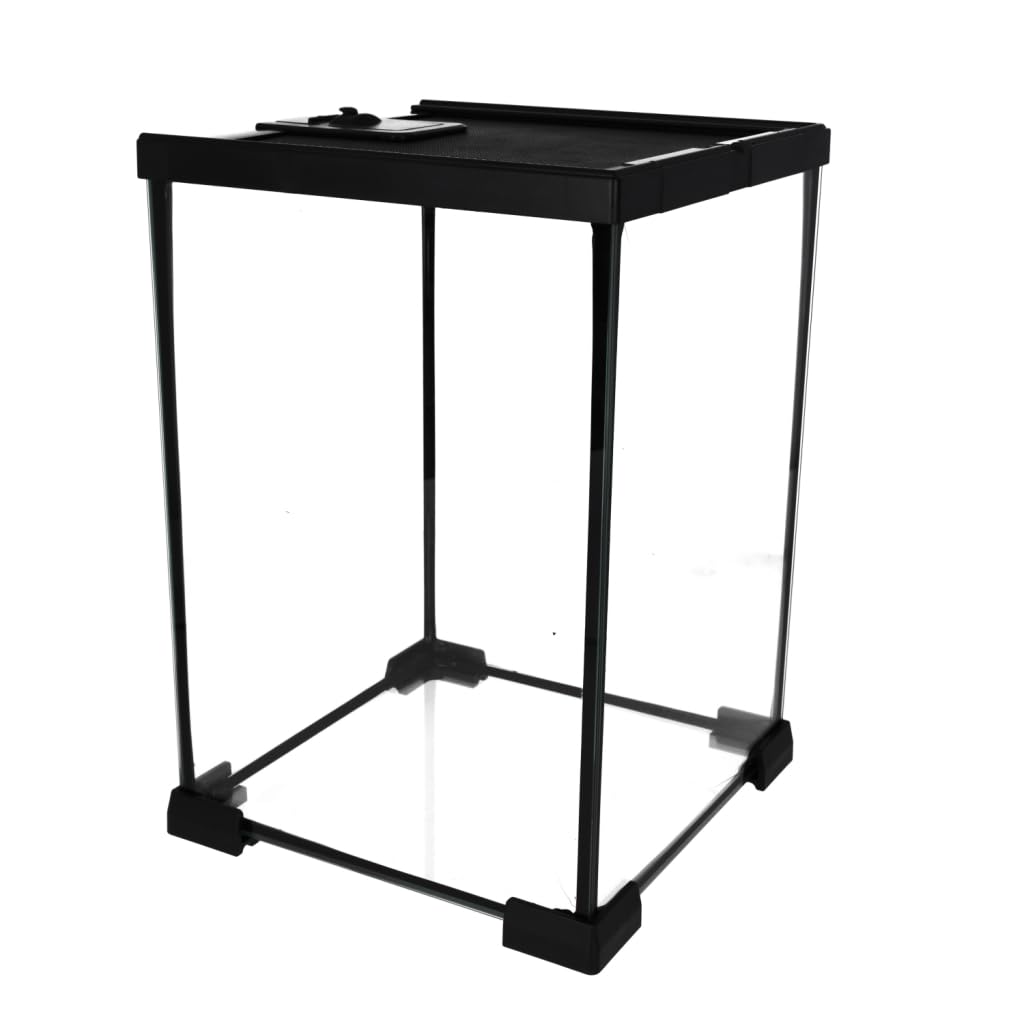 Prorep Mini Terrarium 200 X 200 X 300mm | Spider Tank | Stick Insect Tank | Snail Enclosure | Small Glass Reptile Terrarium | Invertebrates | Amphibians