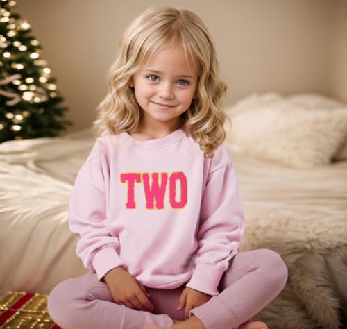 Toddler Girl Birthday Outfit Baby Boys One/Two/Three/Four/Five Year Old Birthday Shirts Gift Embroidery Sweatshirt2