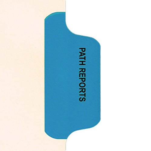 Individual Chart Divider Packs, Path Reports (Med Blue), Side Tab 1/8th Cut, Pos #3 (Pack of 50)