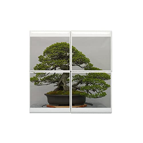 Carreaux céramique décoration murale 20x20 art japonais arbre zen