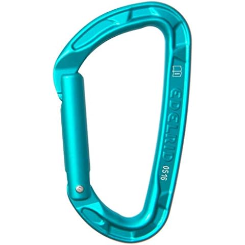 Edelrid Unisex - Erwachsene Karabiner Pure Straight, Icemint, einheitlich Cover