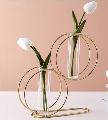 Ruhi Collections Aesthetic Glass Test Tube Flower Vase with Gold Round Metal Stand Flower Vase for Chic Home Decor