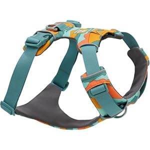 Ruffwear, Front Range Dog Harness, Reflective Soft Padded Everyday Harness with Dual Leash Clips, Adjustable and Lightweight Fit for Training or Walking for All Dogs, Spring Mountains, Large/X-Large