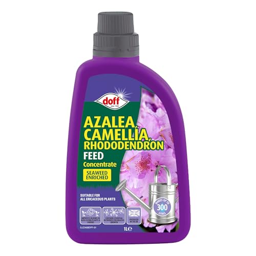 Doff Azalea, Camellia & Rhododendron Feed Concentrate – 1L Fast-Acting Plant Feed for Healthy Growth of Flowers & Shrubs – Seaweed Plant Food – Encourages Root Development – Makes 300L Feed