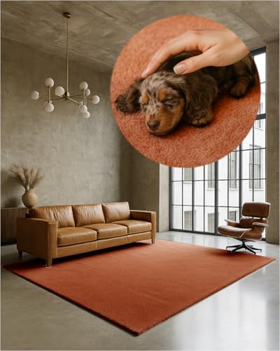 TEXMAXX Weicher Kurzflor Teppich Wohnzimmer mit rutschhemmender Rückseite (160 x 200 cm) - Modern für Flur, Esszimmer und als Schlafzimmer Teppich in Kupfer - Waschbar bis 30 Grad TEXMAXX Weicher Kurzflor Teppich Wohnzimmer mit rutschhemmender Rückseite (160 x 200 cm) - Modern für Flur, Esszimmer und als Schlafzimmer Teppich in Kupfer - Waschbar bis 30 Grad