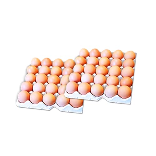 [3回定期便]わけありたまご 康卵 MSサイズ 50個 (45個 + 割れ保証5個)