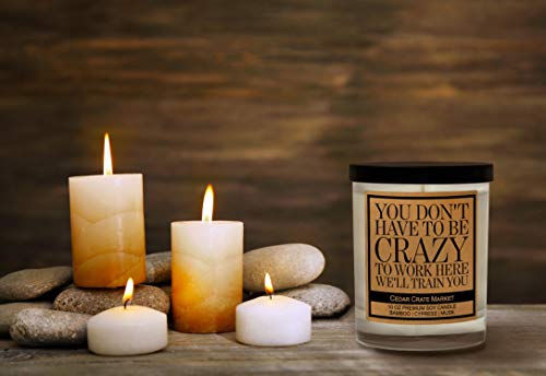 You Don't Have To Be Crazy To Work Here, We'll Train You - Funny Candle Gift For Coworkers, Inspirational New Job Gift For Women, Men, Boss Lady Gift, Best Boss, Congrats On New Job, Promotion, Office #TOP2
