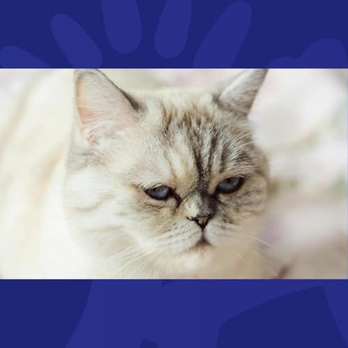 Gift Grub: Is Ireland Really That Pessimistic?! Podcast Por  arte de portada