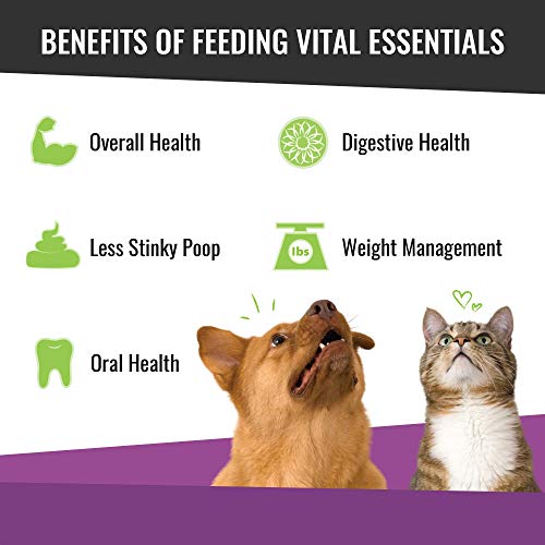 Vital Cat Freeze-Dried All-Natural Minnows Cat Treats, 0.5 oz. - Image 6