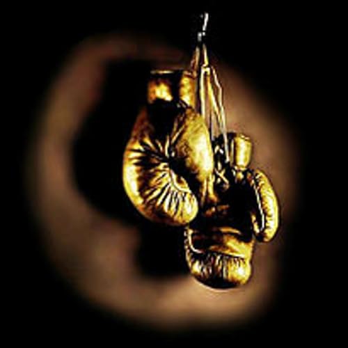 THE GOLDEN GLOVE BOXER cover art