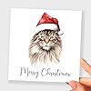 Postcard Prints - Fun Christmas Card of a Maine Coon Cat Wearing A Santa Hat Whimsical Watercolour Christmas Card For Animal Lover For Him or Her #2