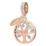 Jiarong Charms