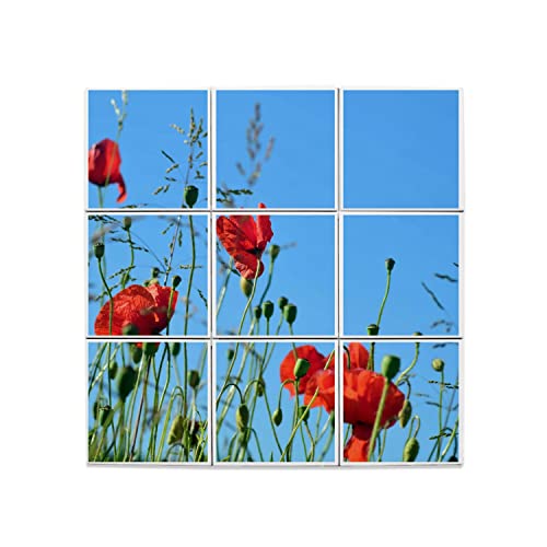 Décoration murale coquelicot carrelage pour rénover un mur
