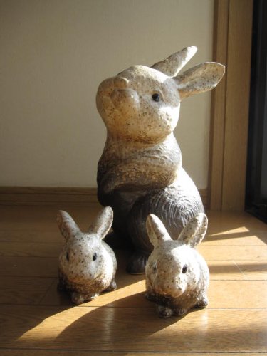 Amazon.co.jp: 信楽焼きの 陶器の 味わいのある ウサギです。 信楽