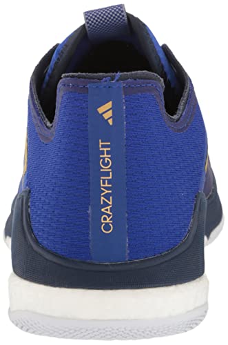 adidas Crazyflight Tênis masculino de atletismo, Azul lúcido/ouro fosco/azul marinho, 11
