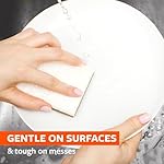 Full Circle Walnut Sponges image 3