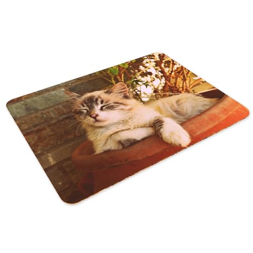 Sets de table chat mignon imperméables et faciles à nettoyer
