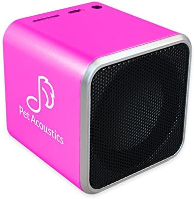 Pet Acoustics Kid Tunes