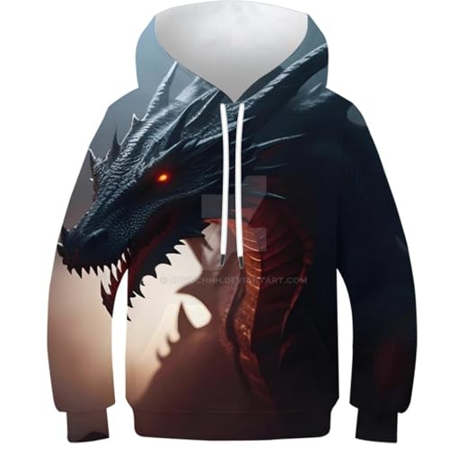 Sweat-shirt à capuche garçon 13-15 ans manche longue avec poche et imprimé dragon 3D