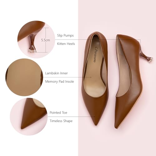 C.Paravano Classic Women's Pumps Pointy Heels for Ladies Stiletto Heel Pointed Toe Pumps for Office Wear Womens Heels Comfortable Dressy4