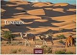  Tunesien Kalender 2026 – Wandkalender  Fotokalender Afrika 24x35 cm: Hochwertige Fotos, die die Kultur, Landschaften und Sehenswürdigkeiten Tunesiens zeigen.