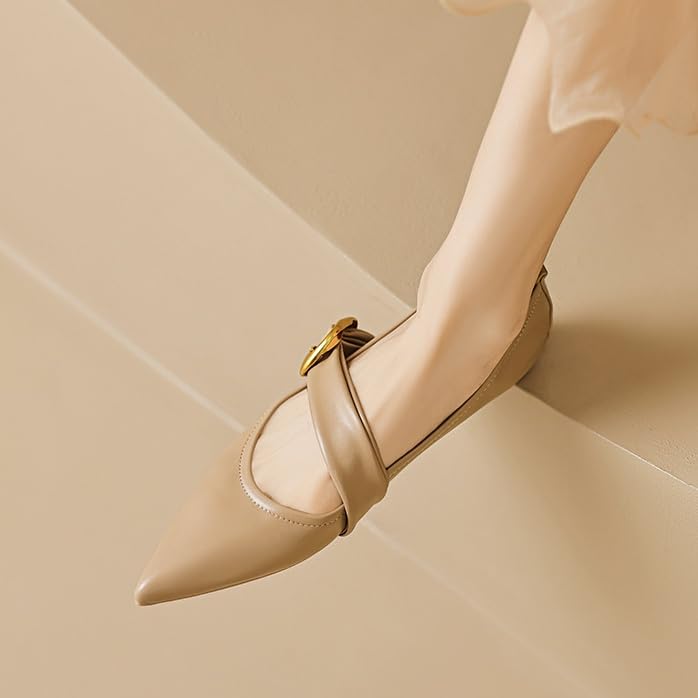 Pointed Toe Mary Jane Flats for Women Closed Toe Flats with Buckle Ballet Flats Shoes for Women Slip On Shoes3