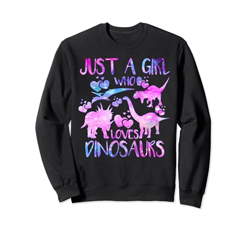Just a Girl Who Loves Dinosaurs - Tema de dinosaurios para adolescentes Sudadera
