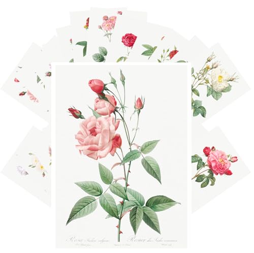 PIXILUV Vintage Postcards (24 pcs 4"x6" each) Antique Rose Botanical
