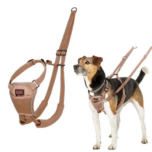 Pettorina anti-trazione HALTI - Per impedire al cane di tirare il guinzaglio, regolabile, leggera e semplice da utilizzare. Pettorina da addestramento per cani piccoli (Taglia XS, Sabbia del Deserto)