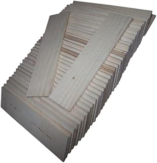 10 Pieces Thin KILN Dried Sanded White ASH 12 X 3 X 1/8" Lumber Wood