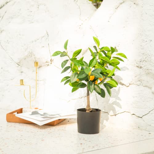 Velener Fake Lemon Tree 19"- Bonsai Tree Indoor With Pot Farmhouse Home Decor Living Room Kitchen Shelf Office Desk Bathroom Table Mini Outdoor Tree Faux Plant Porch Lemon Decor Floor Plant Tall #TOP4