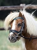 BUSSE Trense LITTLE, Shetty, schwarz (atoll)
