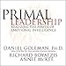 Primal Leadership: Realizing the Power of Emotional Intelligence