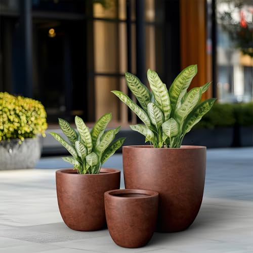 Image of Kante Set of 3 Rusty Concrete Bowl Planters 18 inch 14 inch 10 inch Dia