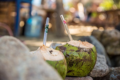 Hummingbird Glass Straws 9 In X 9.5 Mm Green Frog Classic Comfort Size Straw With Cleaning Brush #TOP4