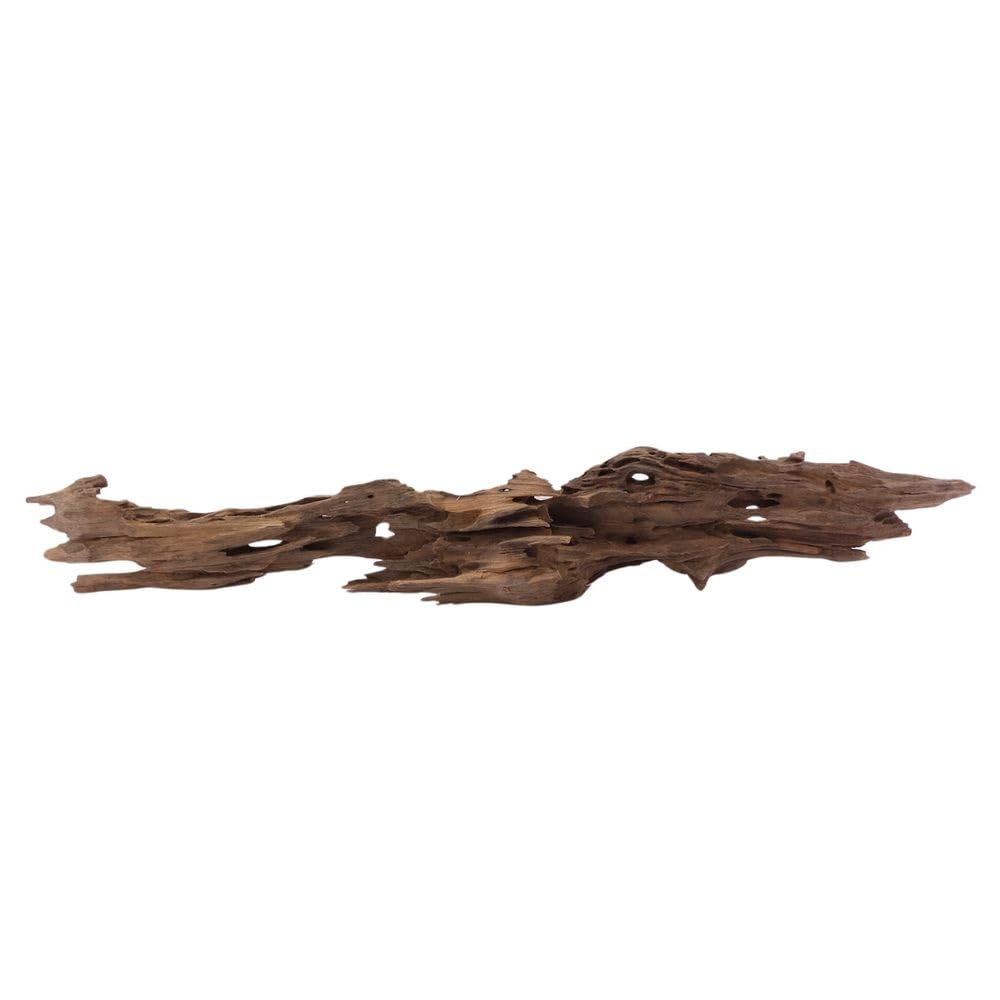 XL Honey Comb Raíz nº 1960 Acuario Raíz Mangrove Madera Decoración Paisaje Musgo Naturaleza Madera Auténtica